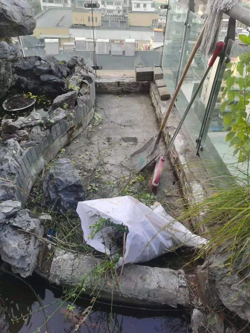 防伪升级与标准革新 家装防水行业的品质进阶之路