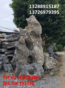 探寻英德市望埠镇强晟石场 天然太湖石与优质景观石的瑰丽世界