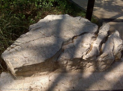 景观石与假山石的艺术魅力及其在园林设计中的应用