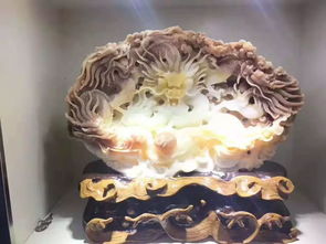 遗存海底最美的宝物 假山石