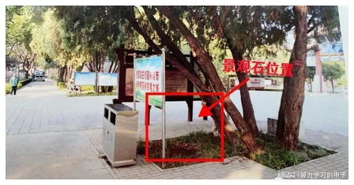 乔装园林工盗走公园景观石 襄都公安迅速破案护文物